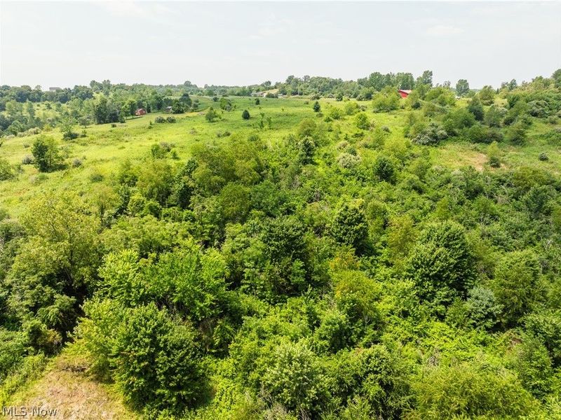17033 Township Road 118, Kimbolton, OH 43749 Photo 27