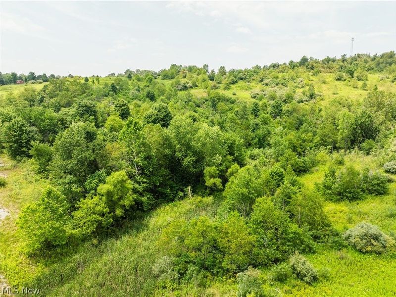 17033 Township Road 118, Kimbolton, OH 43749 Photo 29