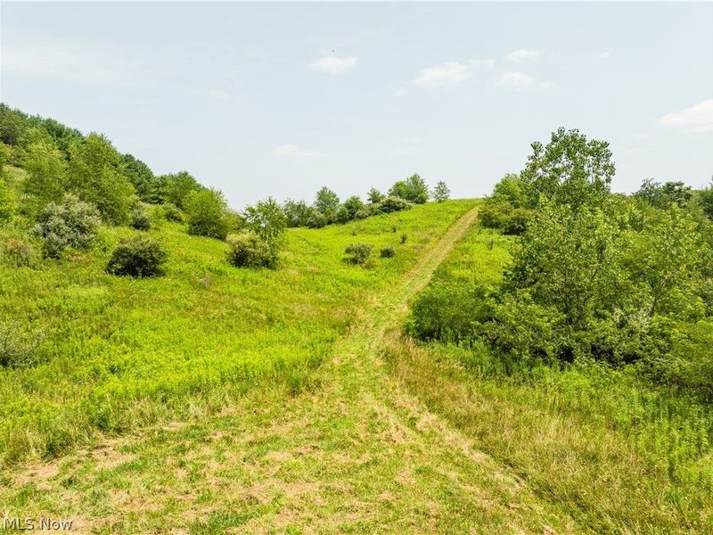 17033 Township Road 118, Kimbolton, OH 43749 Photo 30