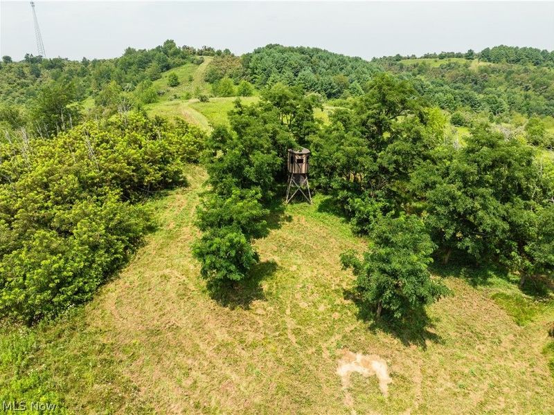 17033 Township Road 118, Kimbolton, OH 43749 Photo 31