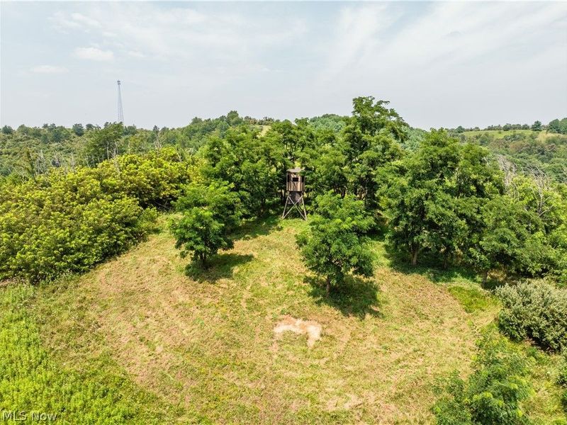 17033 Township Road 118, Kimbolton, OH 43749 Photo 32