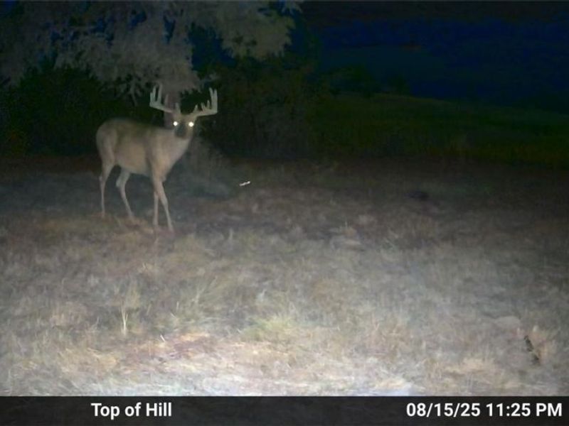17033 Township Road 118, Kimbolton, OH 43749 Photo 34