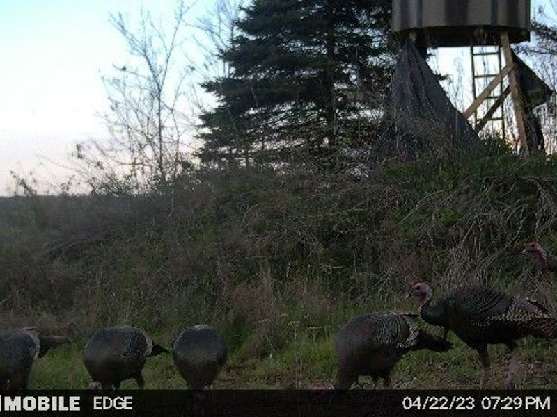 17033 Township Road 118, Kimbolton, OH 43749 Photo 38