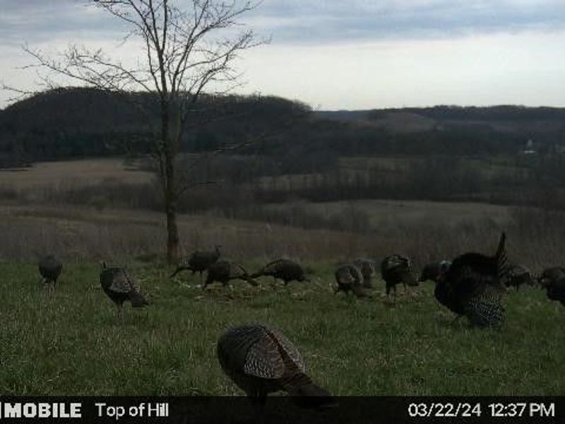 17033 Township Road 118, Kimbolton, OH 43749 Photo 39