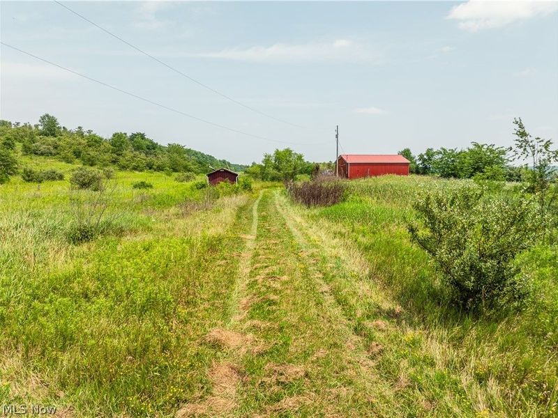17033 Township Road 118, Kimbolton, OH 43749 Photo 6