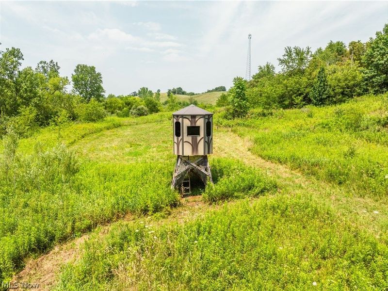 17033 Township Road 118, Kimbolton, OH 43749 Photo 8