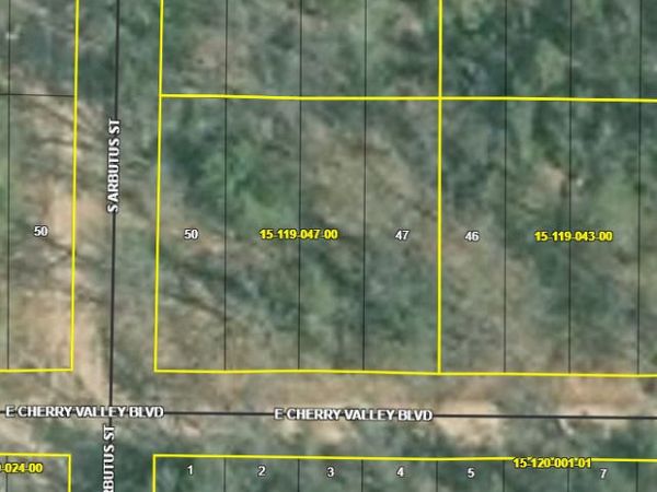 1384 Cherry Valley Drive, Idlewild, MI 49642