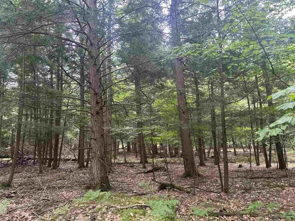 TBD Arbutus Dr, Cross Village, MI 49723