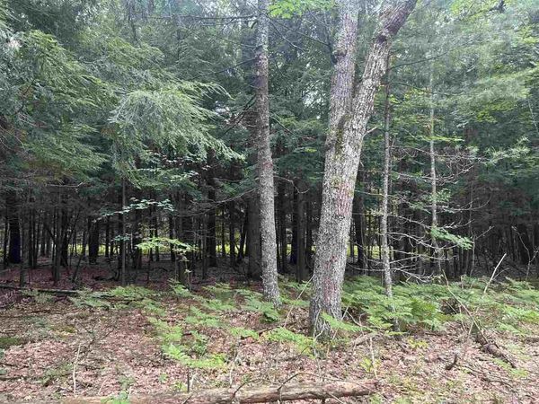 TBD Arbutus Dr, Cross Village, MI 49723
