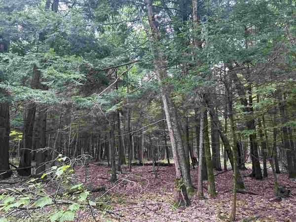 TBD Arbutus Dr., Cross Village, MI 49723