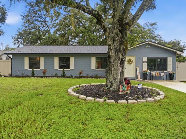 9242 N 52ND STREET , TAMPA, FL 33617