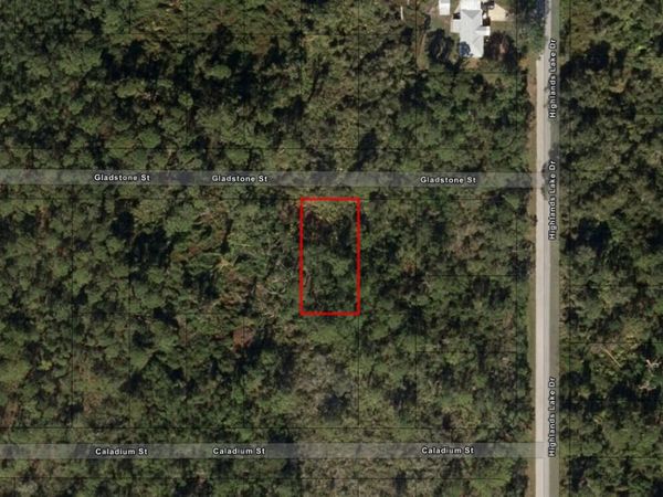 1521 Gladstone Street, Lake Placid, FL 33852