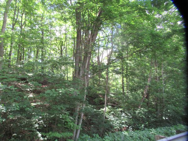 Red Bud Trail N, Buchanan, MI 49107
