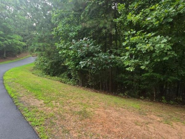 LOT 9 Harris Creek Drive, Ellijay, GA 30540