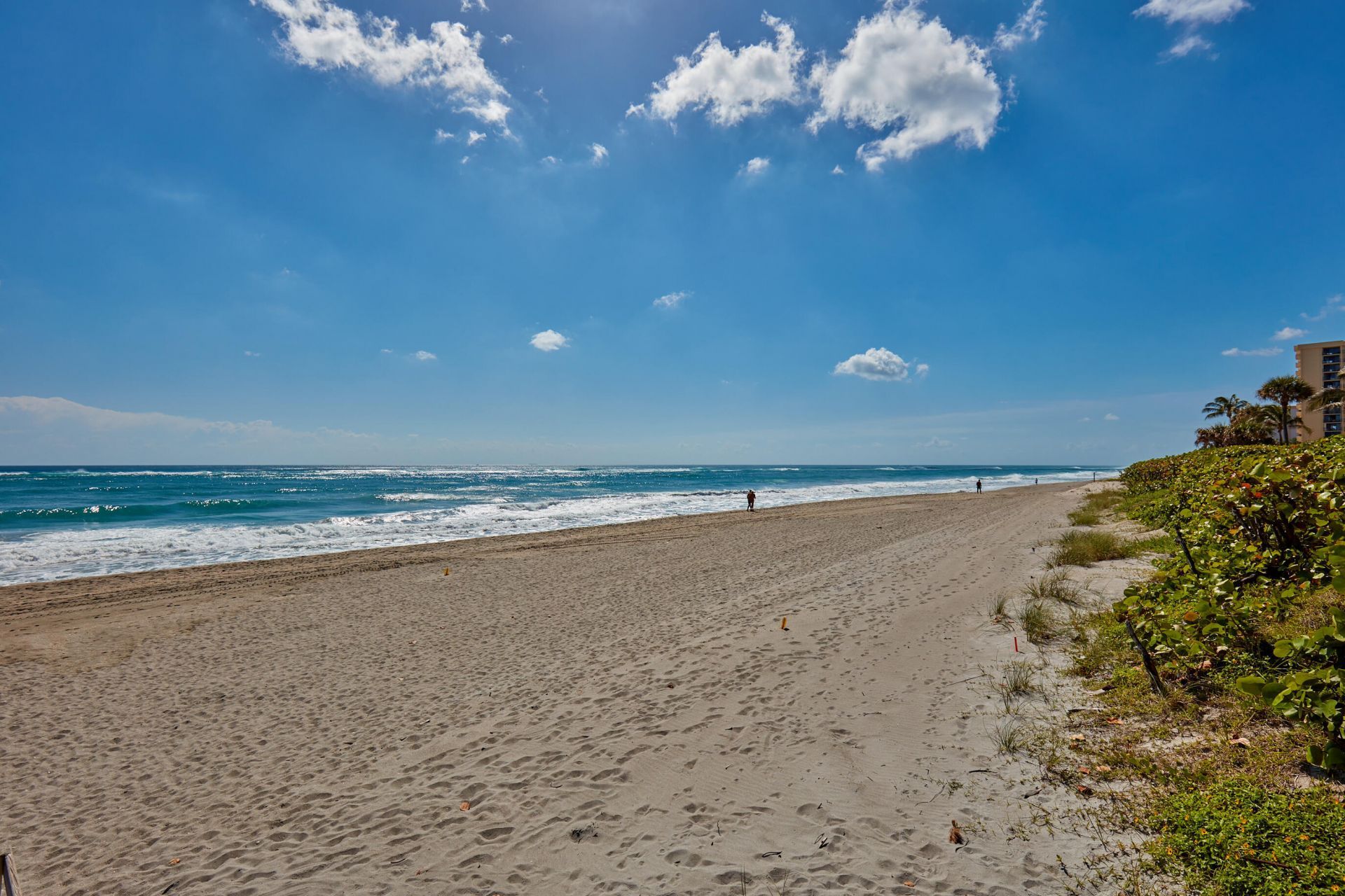 100 Ocean Trail Way, Unit 501, Jupiter, FL 33477 Photo
