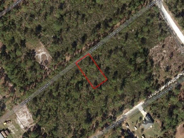 1017 Granger Street, Lake Placid, FL 33852