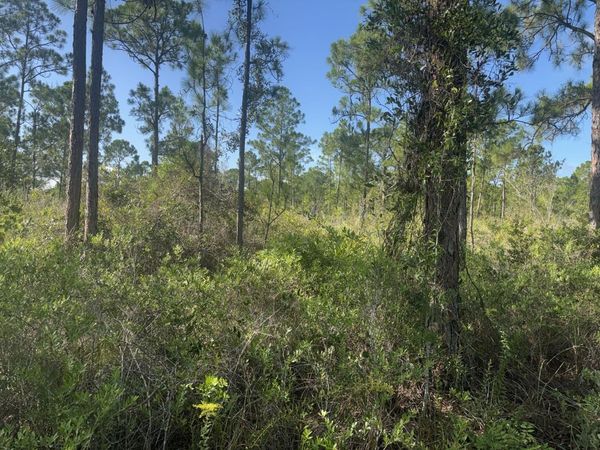 1017 Granger Street, Lake Placid, FL 33852