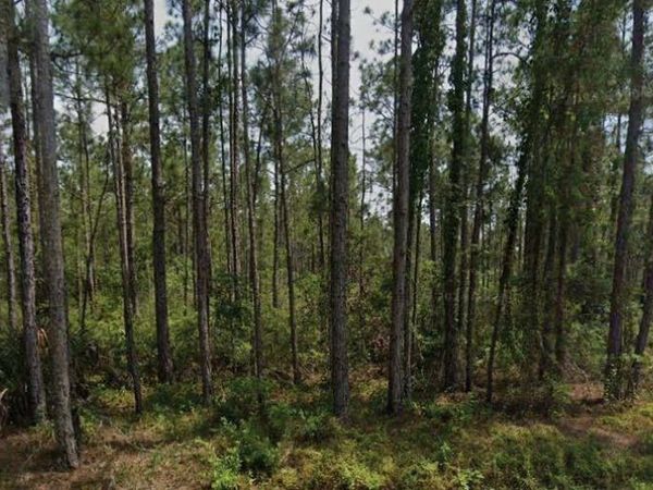 6450 MERRICK DRIVE , SEBRING, FL 33872