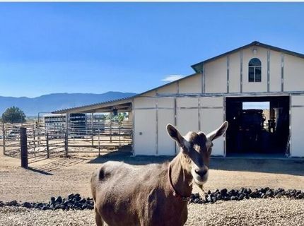 1281 Jo Lane, Gardnerville, NV 89410 Photo
