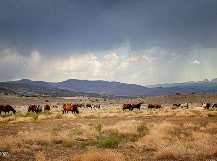 1281 Jo Lane, Gardnerville, NV 89410 Photo