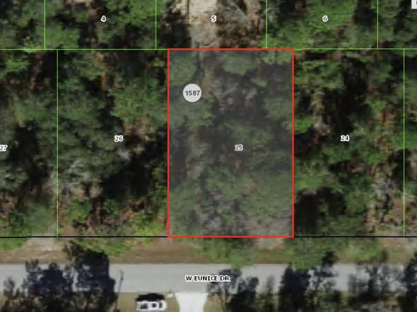 3073 W EUNICE Drive, Dunnellon, FL 34433