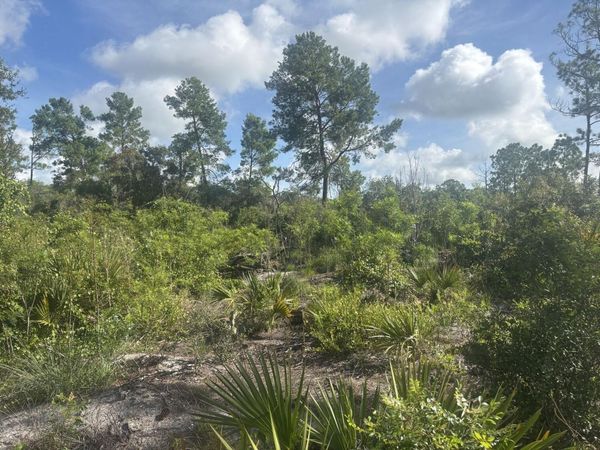 284 Rhapsody Avenue, Lake Placid, FL 33852