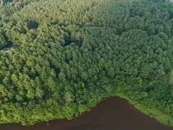 LOT B Brush Creek Road, Colbert, GA 30628
