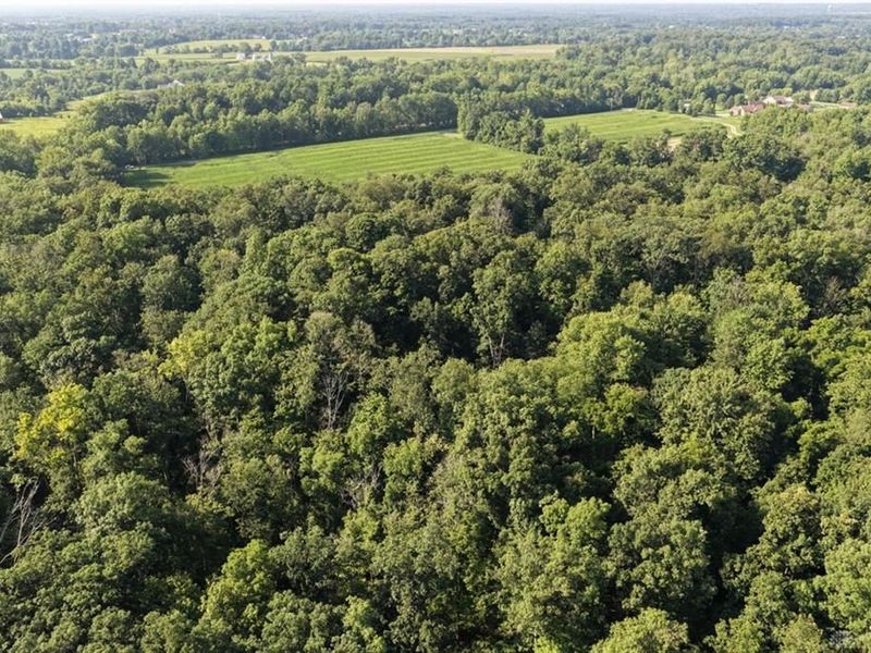 28 ac E Hatt Swank Road, Maineville, OH 45140 Photo 6