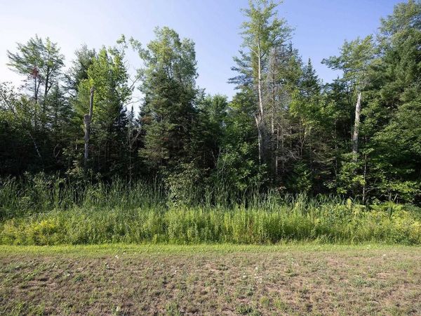 Lot 1 HWY 64 ROAD, Suring, WI 54174