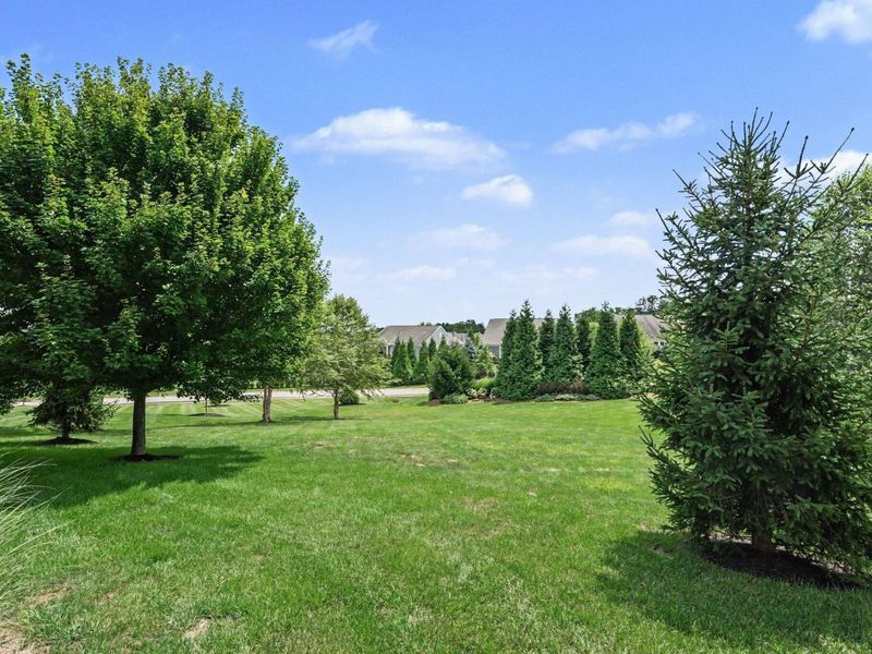1609 Big Brown Court, Union, KY 41091 Photo 40