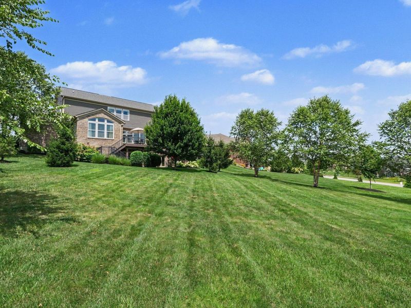 1609 Big Brown Court, Union, KY 41091 Photo 42