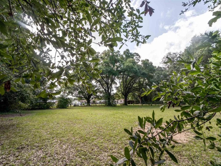 Property Image 49