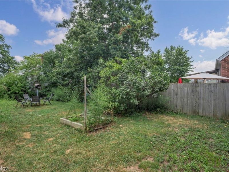 4215 W 143rd, Cleveland, OH 44135 Photo 38