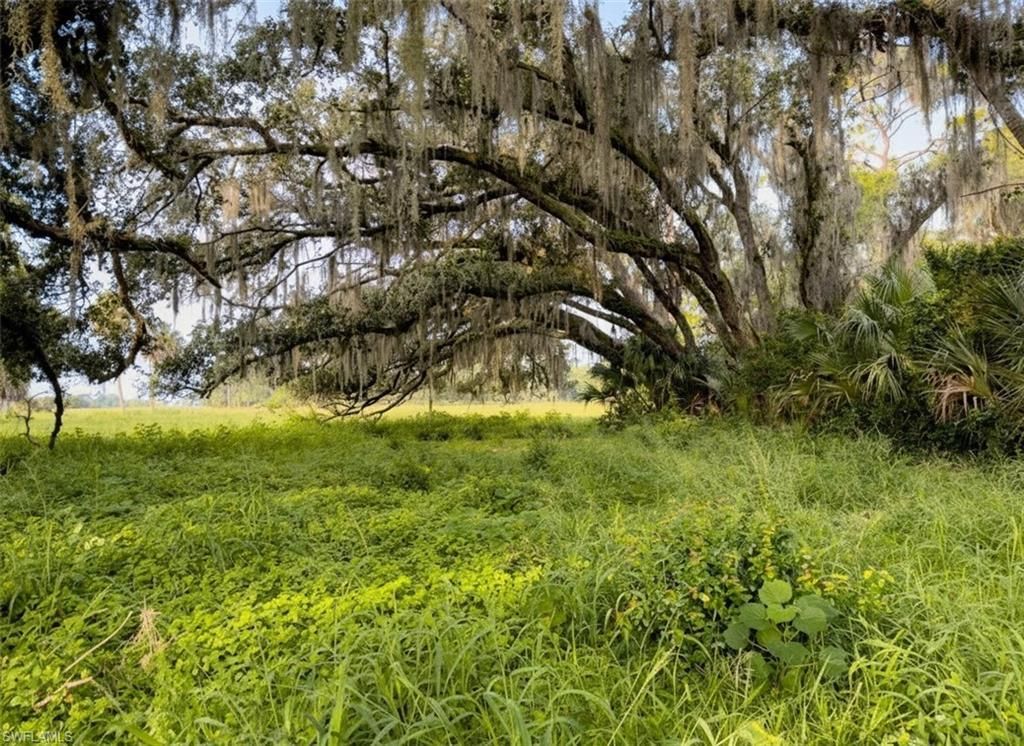 3291 Fort Denaud Rd , Labelle, FL 33935 Photo