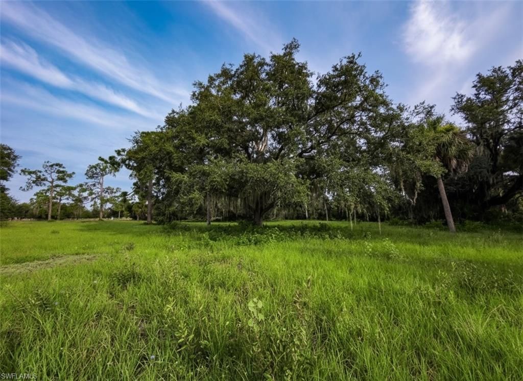 3291 Fort Denaud Rd , Labelle, FL 33935 Photo