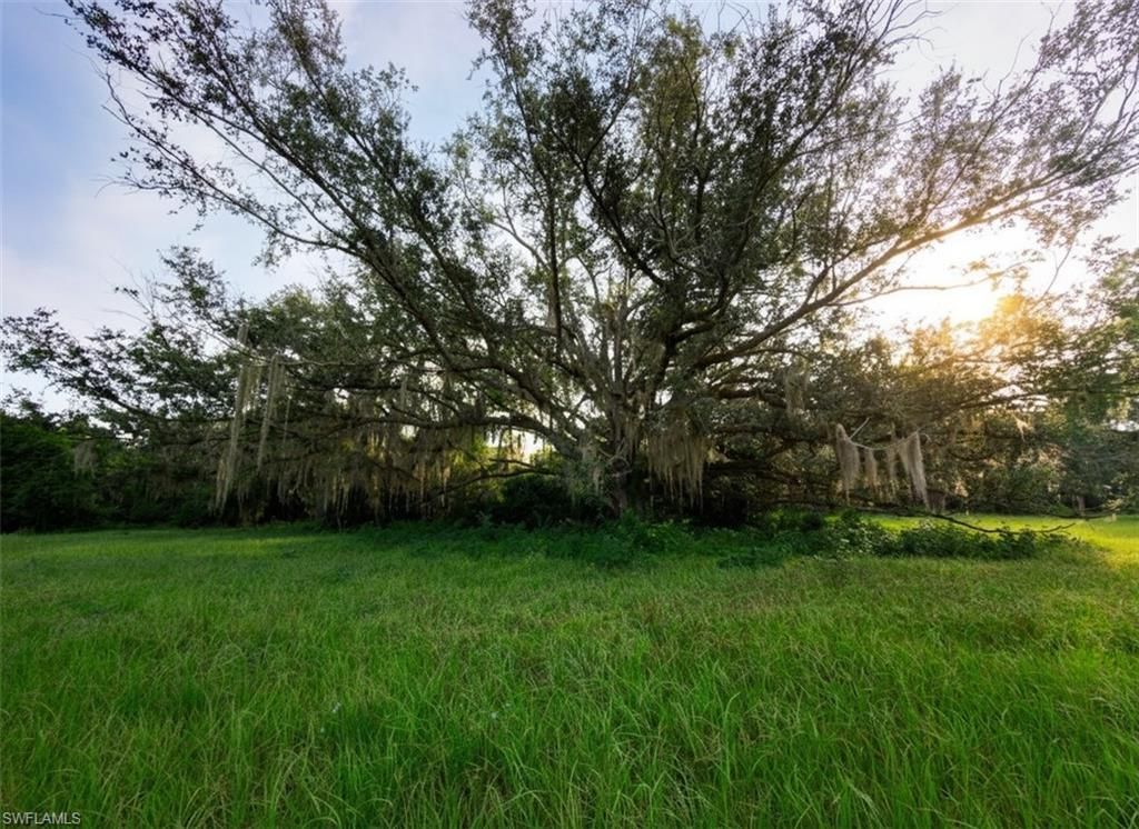 3291 Fort Denaud Rd , Labelle, FL 33935 Photo