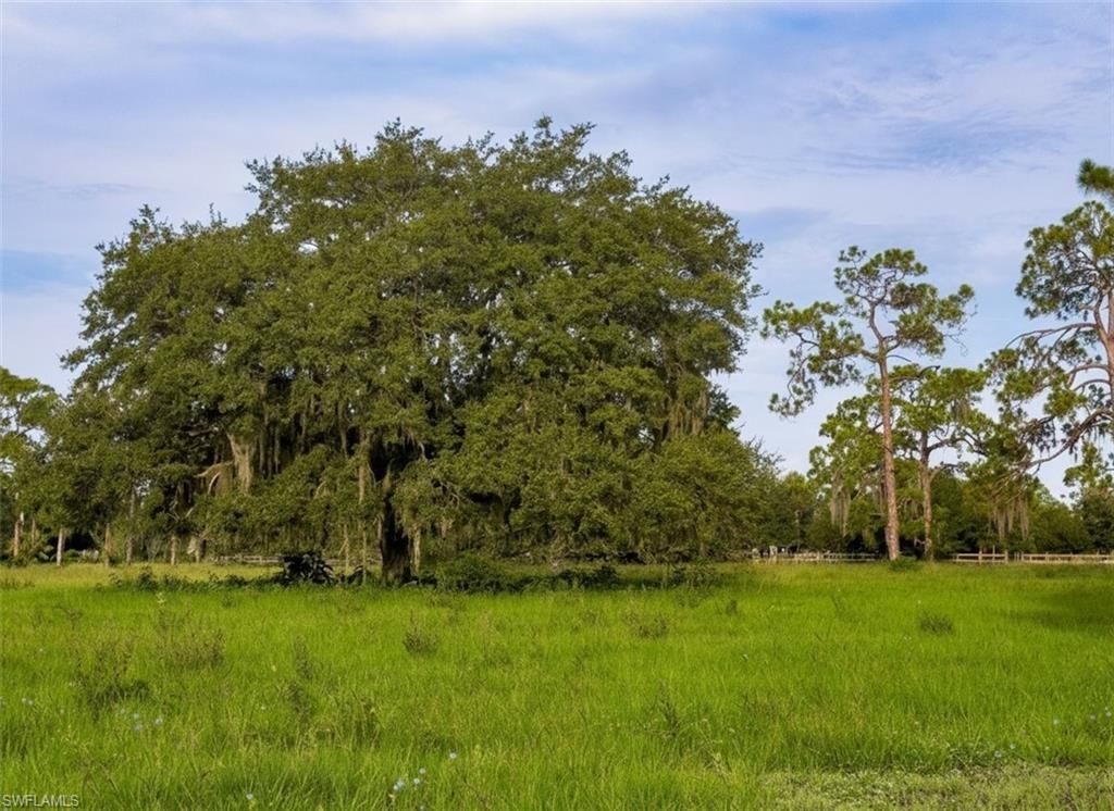 3291 Fort Denaud Rd , Labelle, FL 33935 Photo