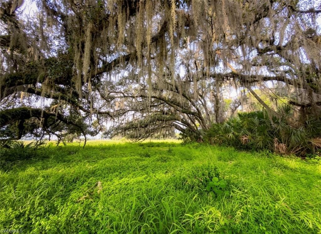 3291 Fort Denaud Rd , Labelle, FL 33935 Photo