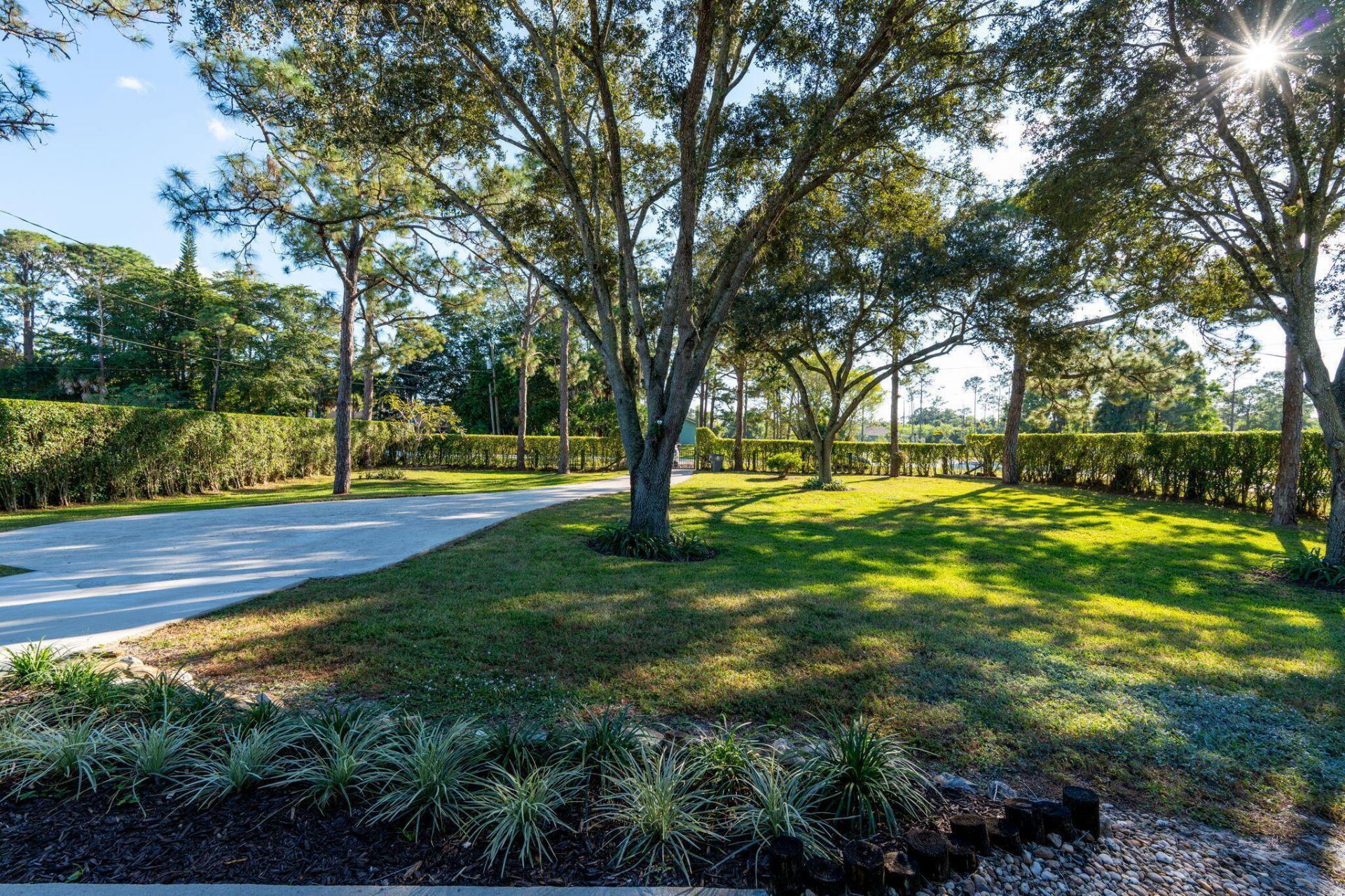 11989 Persimmon Boulevard, The Acreage, FL 33411 Photo