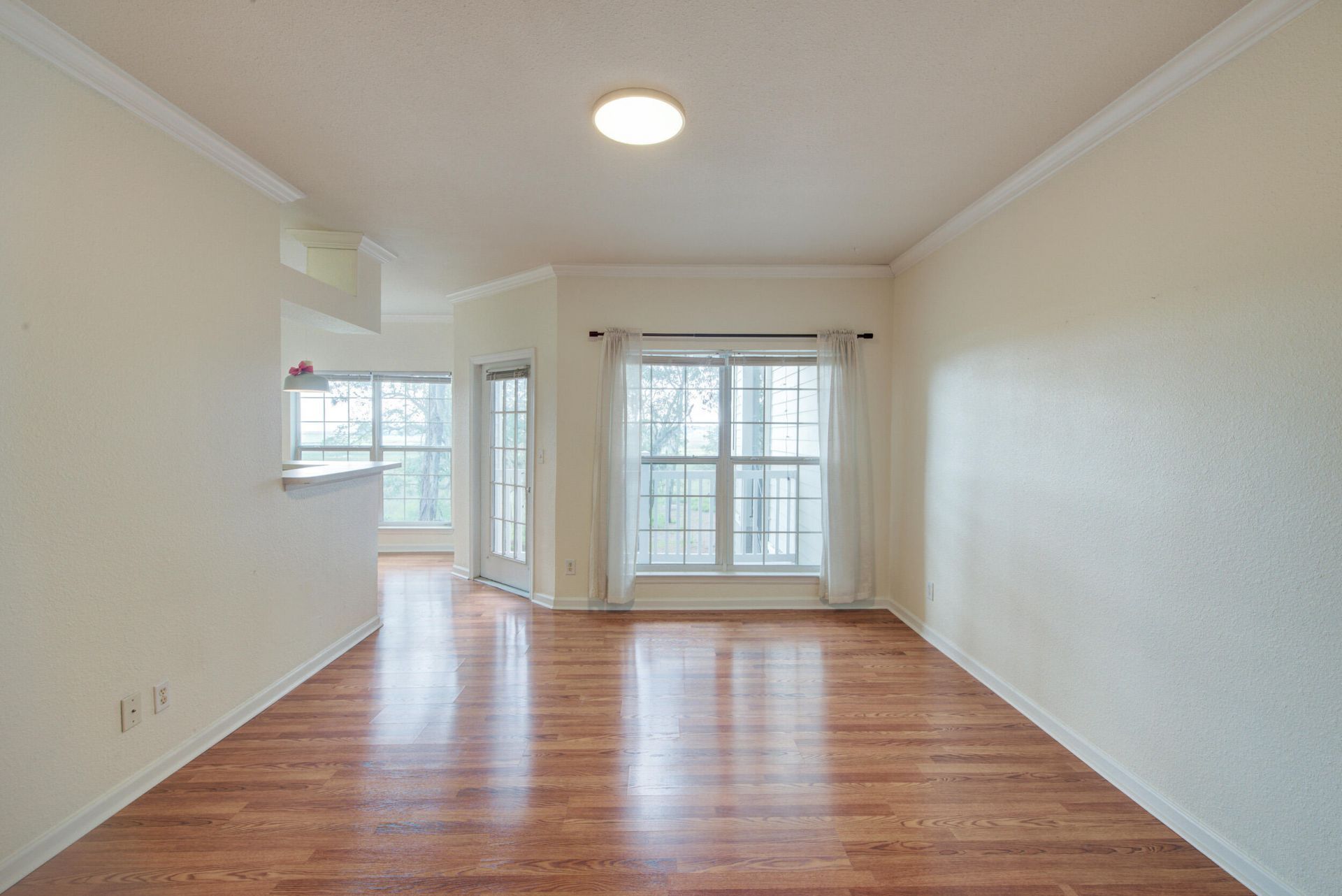700 Daniel Ellis Drive Photo 23