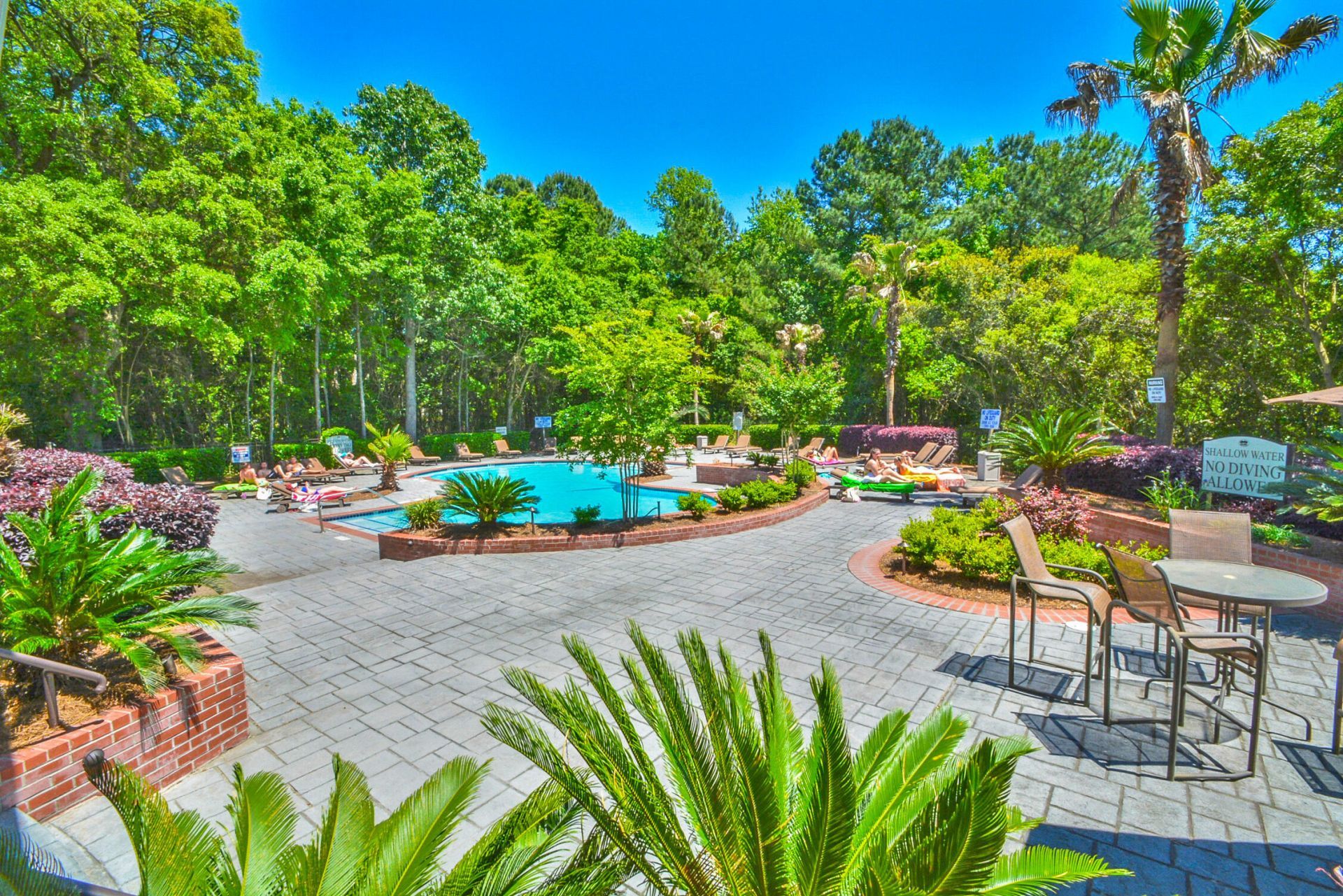 700 Daniel Ellis Drive Photo 40