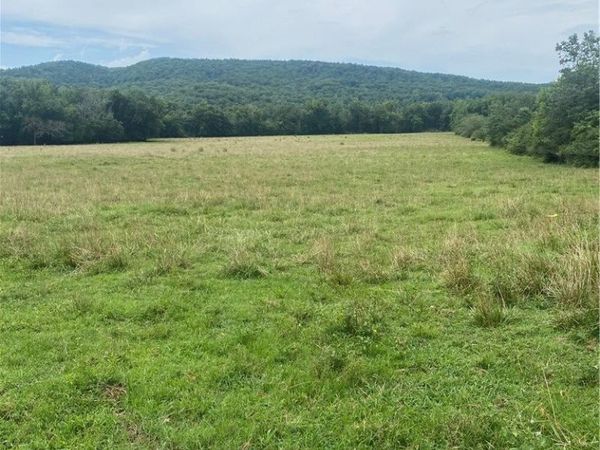 HWY 215 , Oark, AR 72852