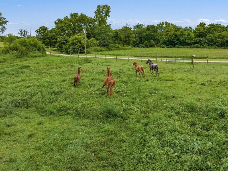 7360 Jones Road , Nashport, OH 43830 Photo 38