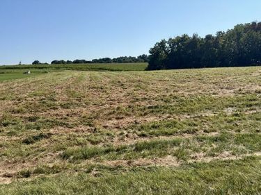 Lot 24 C & Lot 24D Emerald Lane, Campbellsville, KY 42718