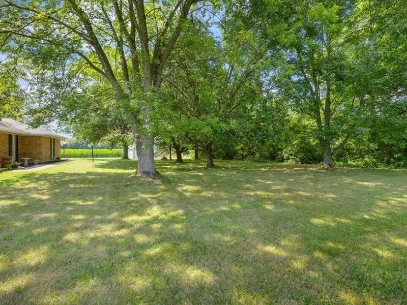11855 Troy Road, New Carlisle, OH 45344 Photo 50
