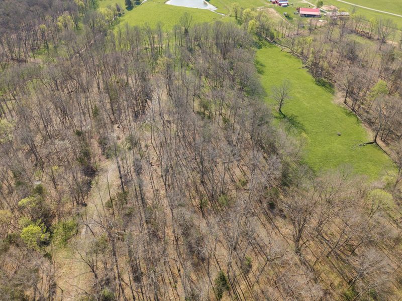 1810 Twin Creek Road, Sadieville, KY 40370 Photo 35