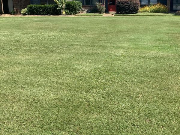 55 Woodlake Drive, Brandon, MS 39047