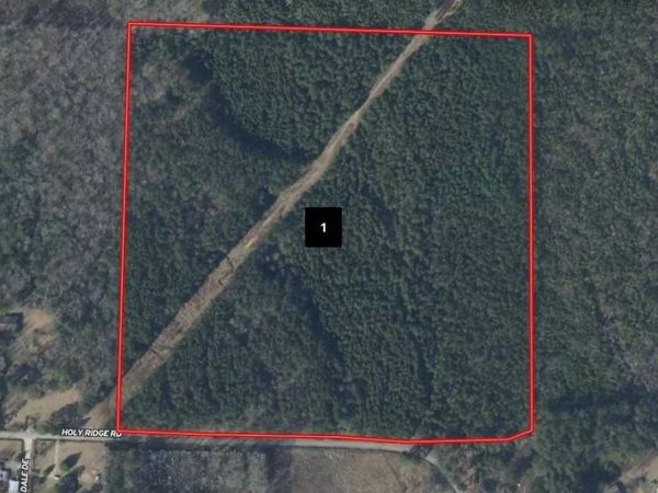 000 Holy Ridge Road , Traskwood, AR 72167