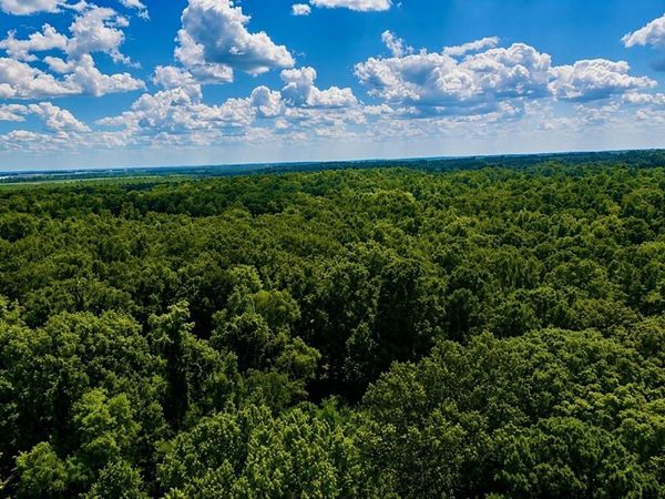 0000 Walnut Street , Arkadelphia, AR 71923
