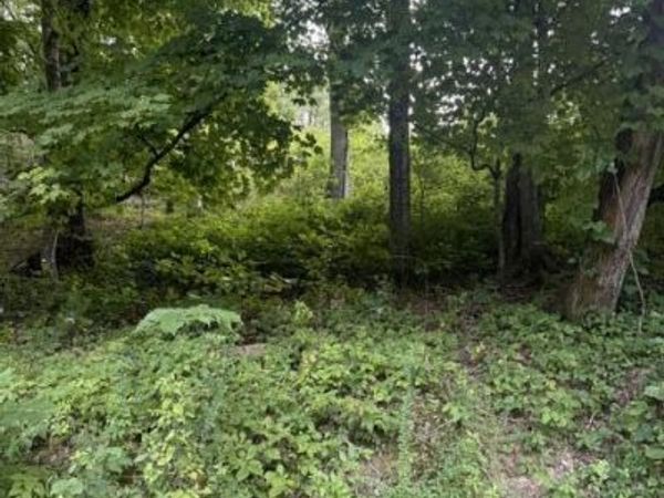 Cave Creek Rd Off Rd, Loudon, TN 37774